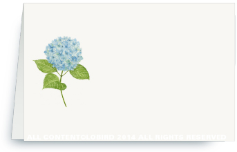 Blue Hydrangea