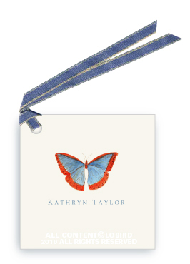 Butterfly - blue/red