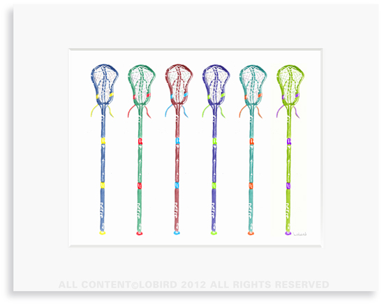 Lacrosse Stick collection 1
